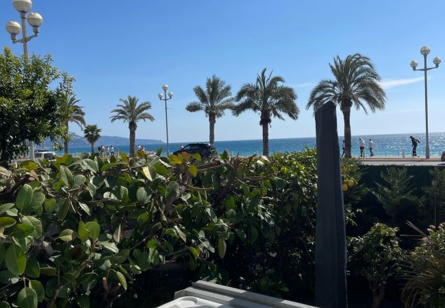 Apartment in Nice - LUXURY GARDEN JACUZZI PROMENADE Apartment in Nice - LUXURY GARDEN JACUZZI PROMENADE